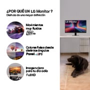 Información Monitor IPS FHD - 24MR400